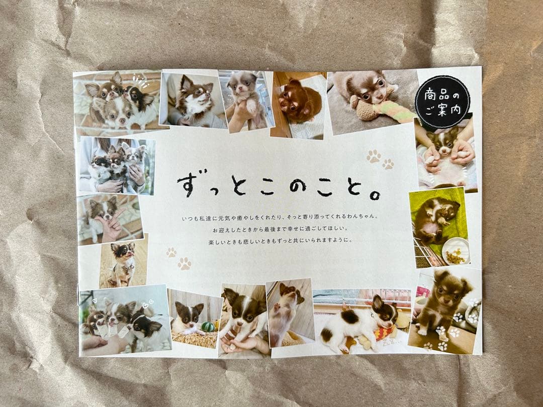 新品　シニアのためのこのこのごはん ドライフード1kg×2袋セット