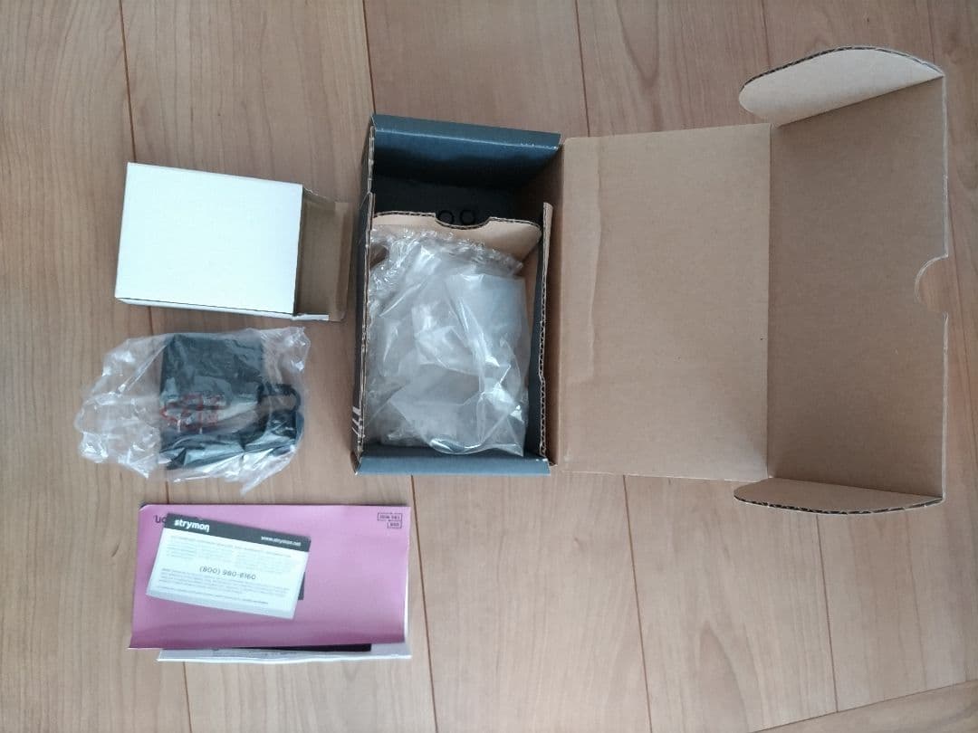 Strymon DIG v2 デュアルデジタルディレイ