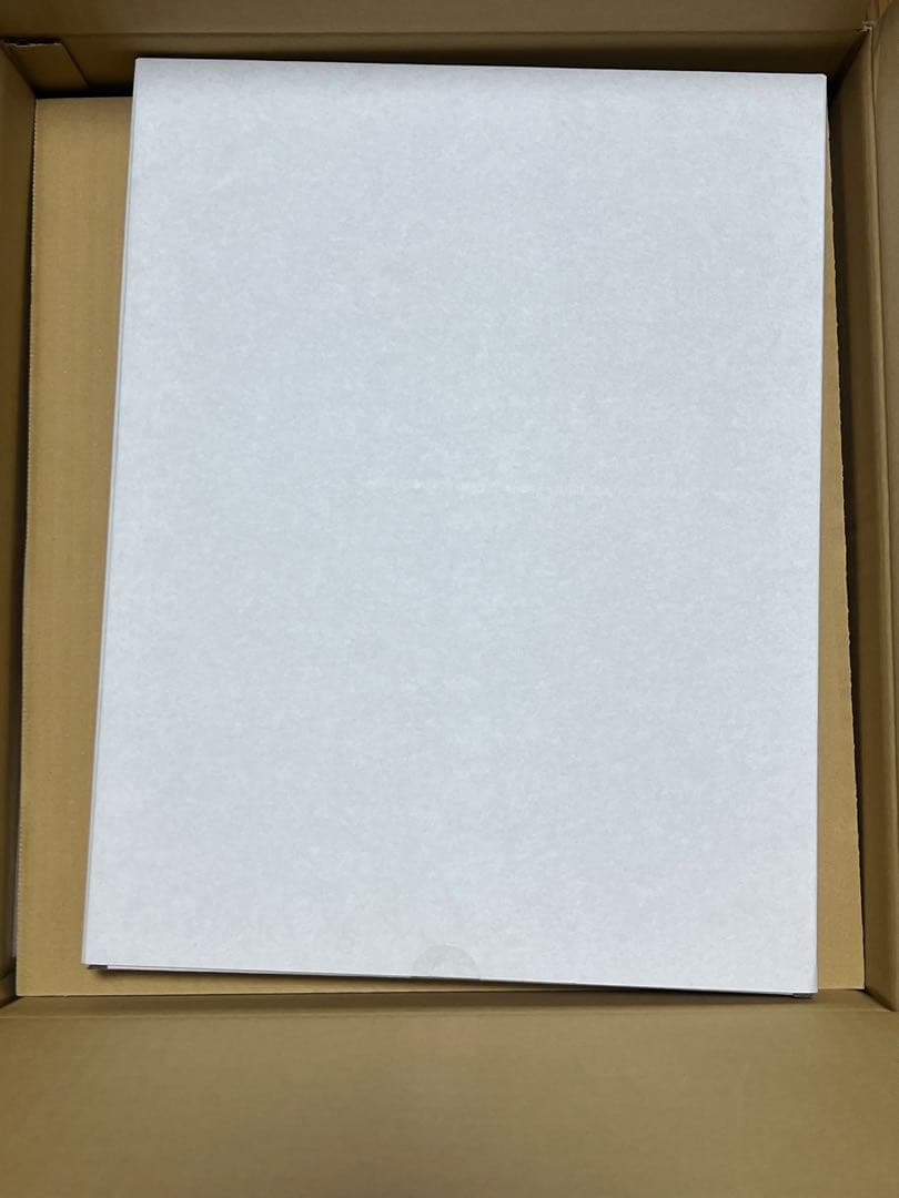 公式限定特典付き 初音ミク feat. Yoneyama Mai フィギュア