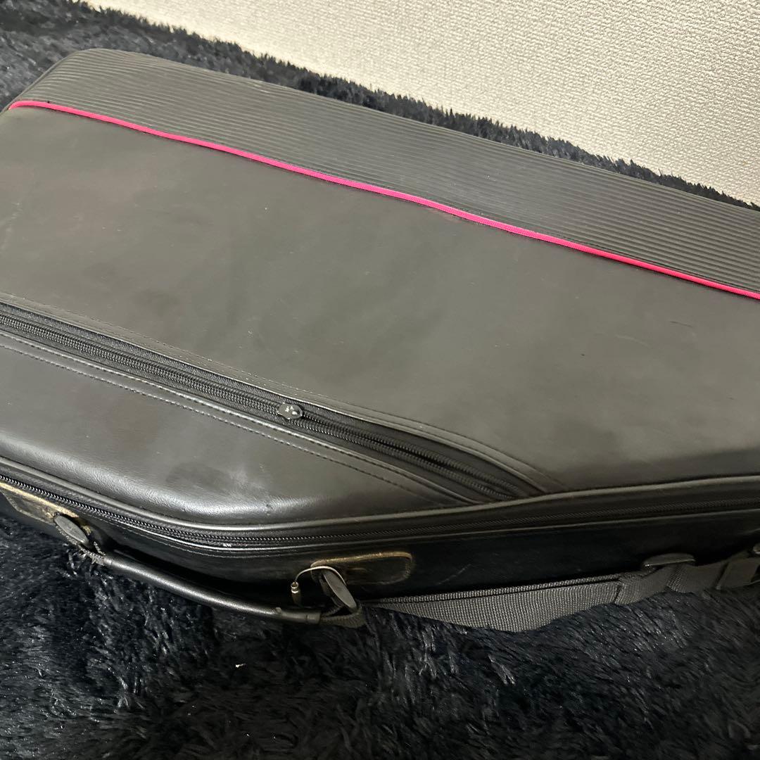 TOKAI Chromaharp クロマハープ 弦楽器 ケース付属