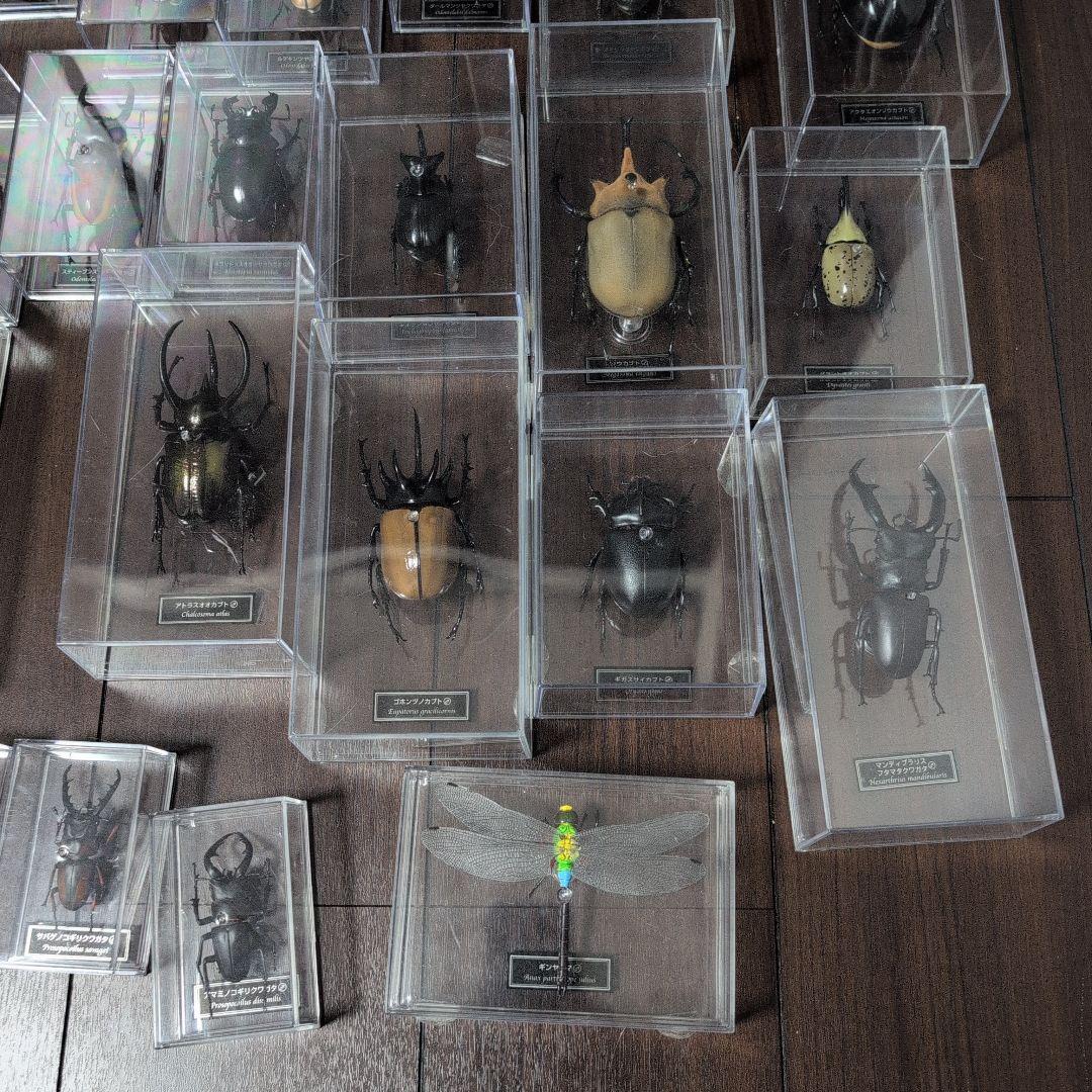 53体！！ディアゴスティーニ　世界の昆虫　データブック4冊