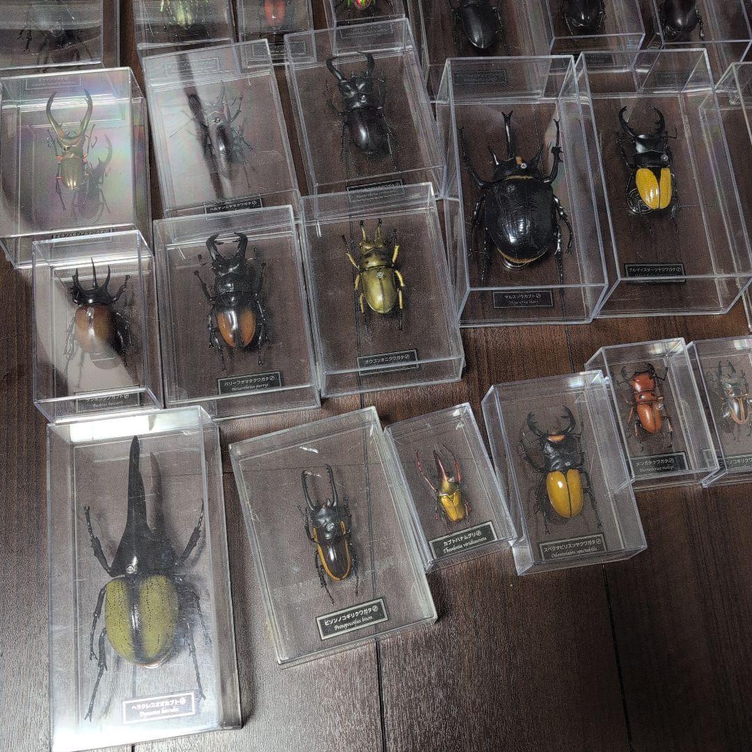 53体！！ディアゴスティーニ　世界の昆虫　データブック4冊