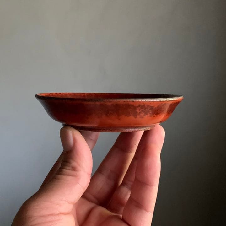 枯れた 朱塗 平盃 酒器 盃 小皿 平杯 古道具 アンティーク 古美術