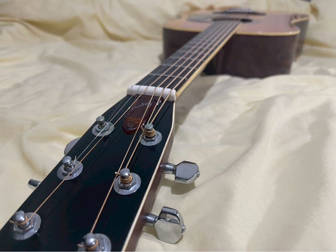 Jagard JD-25 Gallagher 寺田楽器製