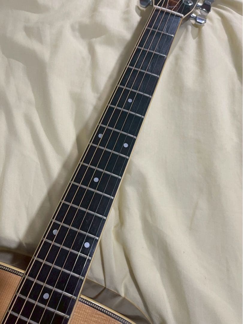 Jagard JD-25 Gallagher 寺田楽器製