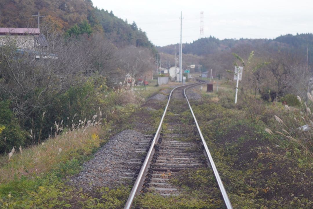 PENTAX SP SMC TAKUMAR 55mm F1.8 動作確認済み