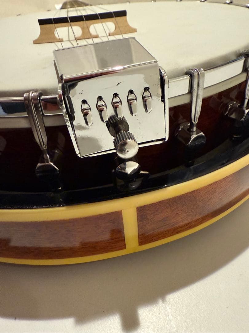 Aria アリア 5弦 バンジョー ハードケース付