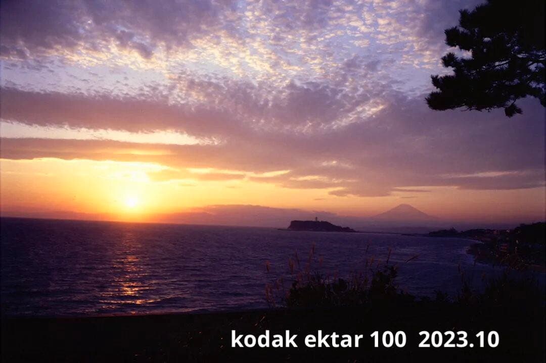 作例あり Nikon L35 AD ISO1000 フィルムカメラ 実用品