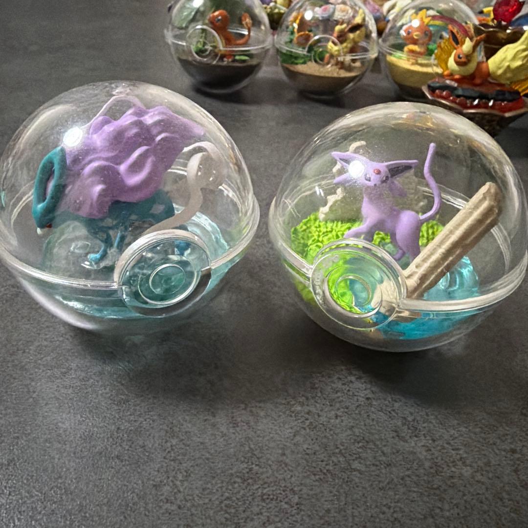 ポケモン テラリウムコレクション いろいろ