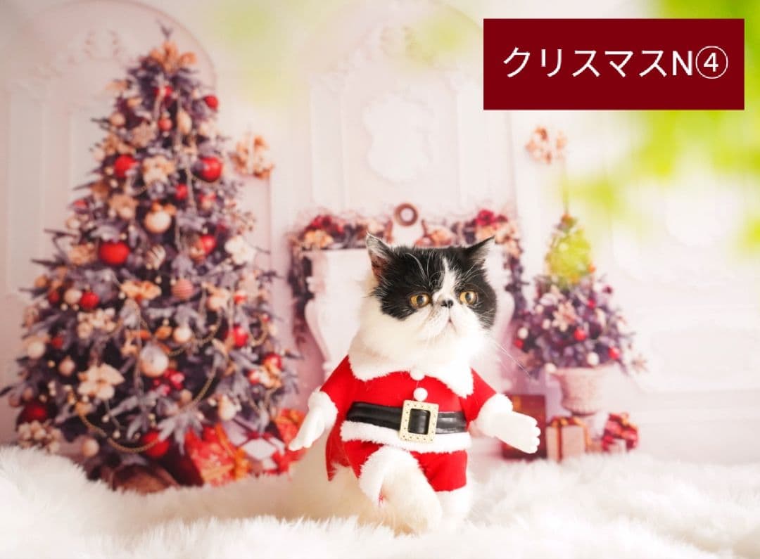 紅葉　背景布秋XD①　ペット撮影用　80×120cm　トリミングチョーカー販売中