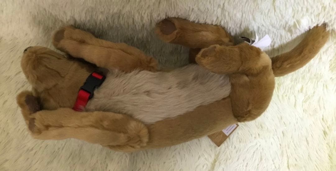 ★希少 新品 DITZ ディッツ ハルモニア ぬいぐるみ ゴールデンレトリバー