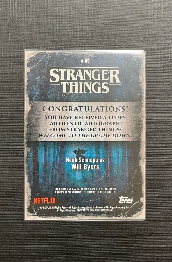 ストレンジャーシングス　サイン　シリアル　ノアシュナップ