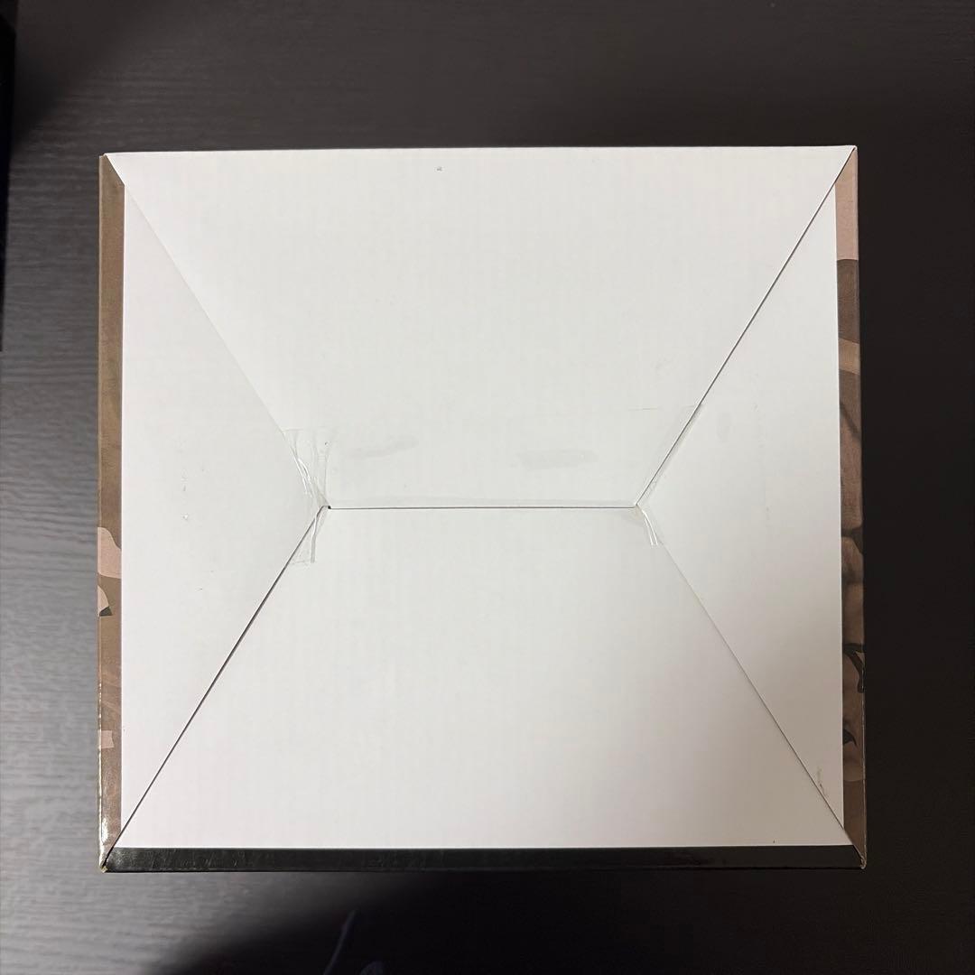 一番くじ　ワンピース　ドラマティックメモリーズ　ラストワン賞　エース&ルフィ