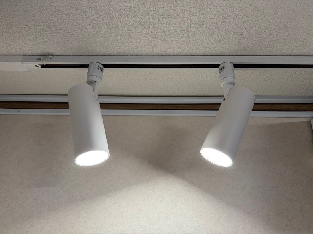 エジソンスマート スポットライト ダクトレール用 2本 DST-SL01WH