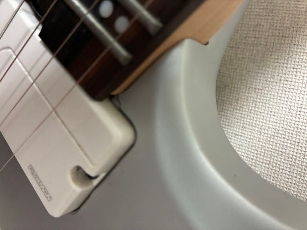 Ibanez RGDMS8 8弦ギター