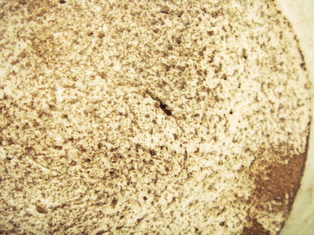 921『馬の目 豆皿 手塩皿 5枚』　/骨董品 古美術 アンティーク 古玩