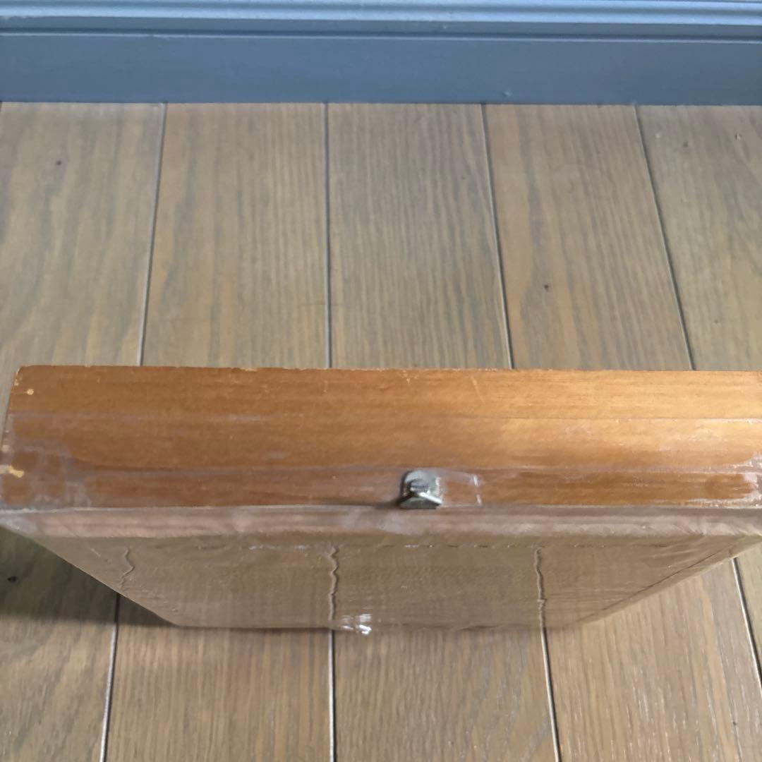 Morpho deidamia 蝶標本 木製フレーム付き