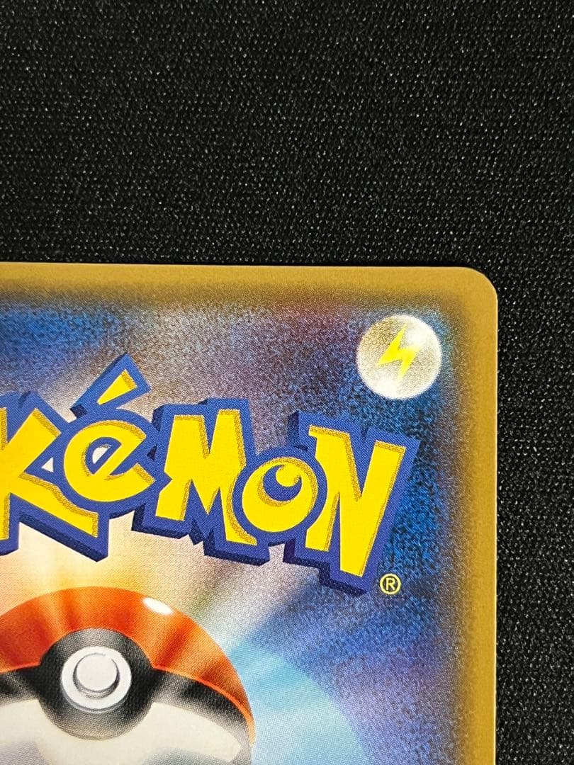 ポンチョを着たイーブイ リーフィア