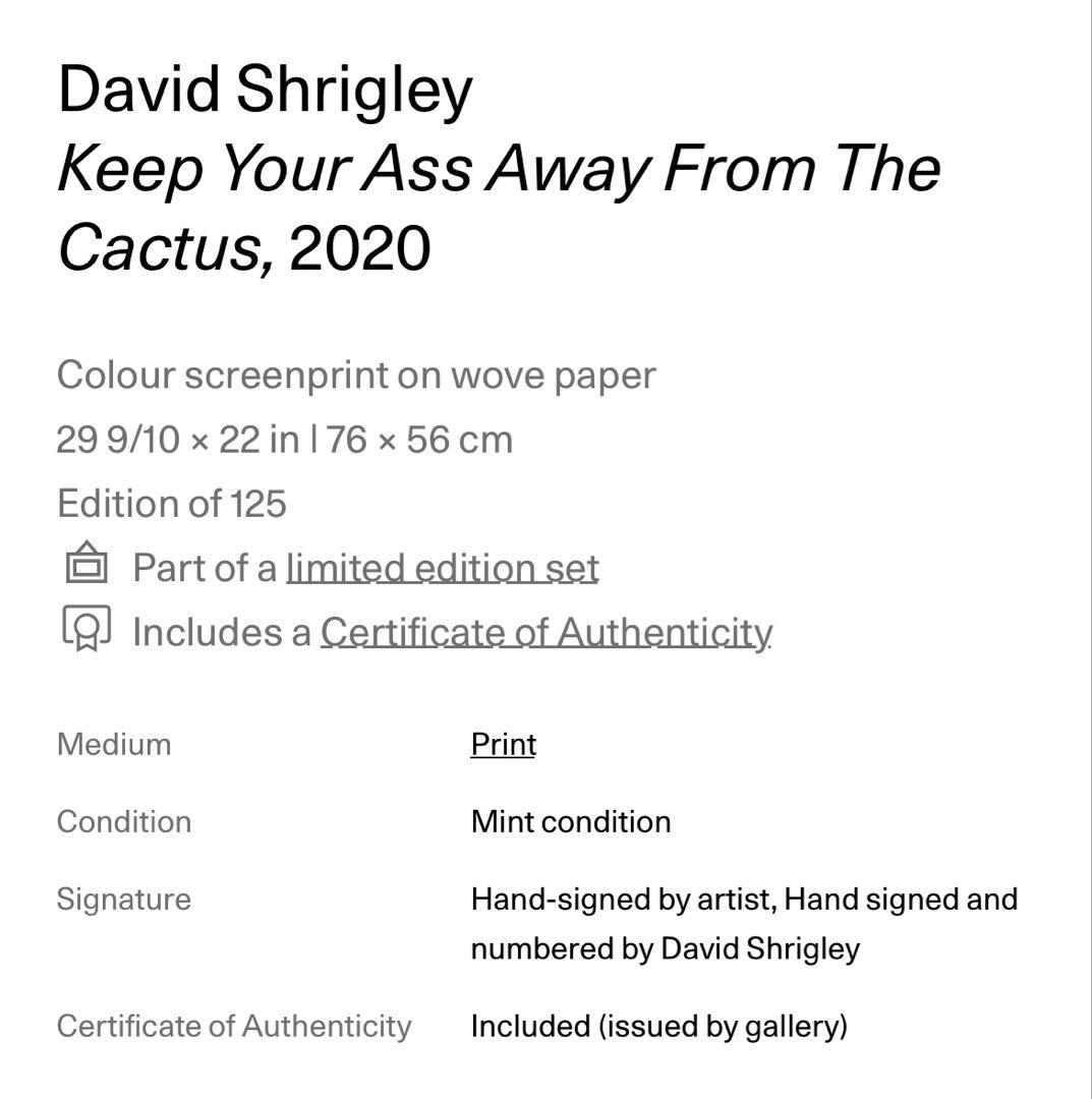 デイヴィッド・シュリグリー　David Shrigley 真作