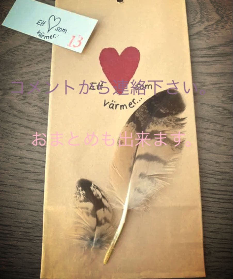 フクロウの羽根　優しい羽根　ふわふわな羽根