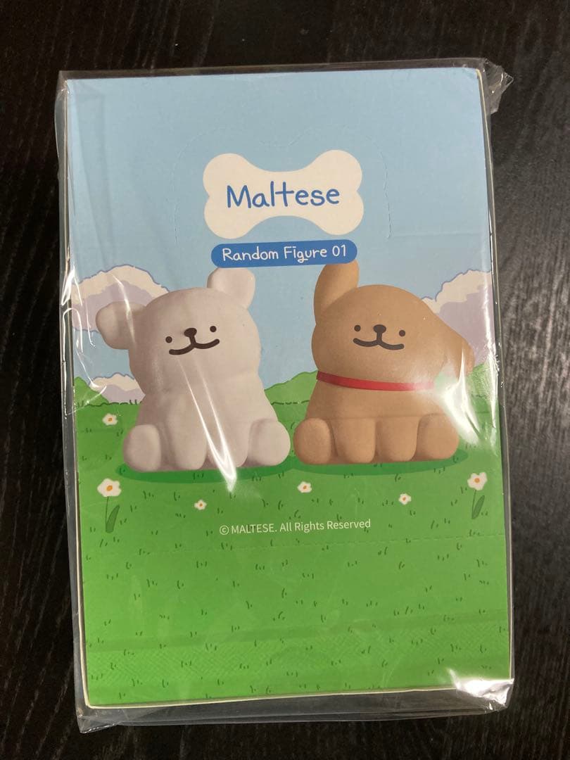 Maltese Puppy モルチーズ フィギュア ボックス 6個
