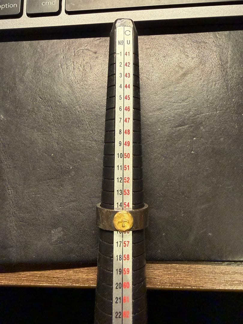 ゴローズ goro's 平打ちリング 金イーグルメタル