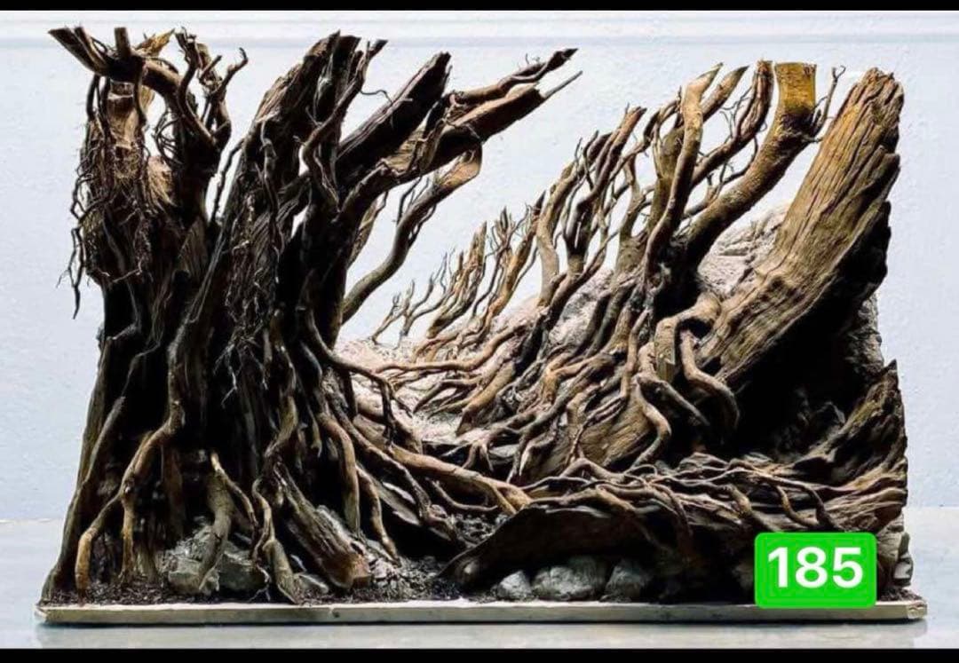 TTD 【⭐︎ ゆうすけ様⭐︎】【美品・数量限定】