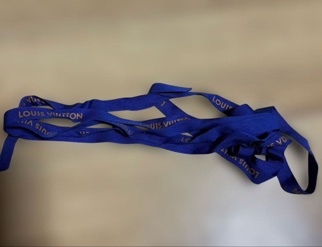 LOUIS VUITTON トゥルース・エリザベット ポーチ ペンケース