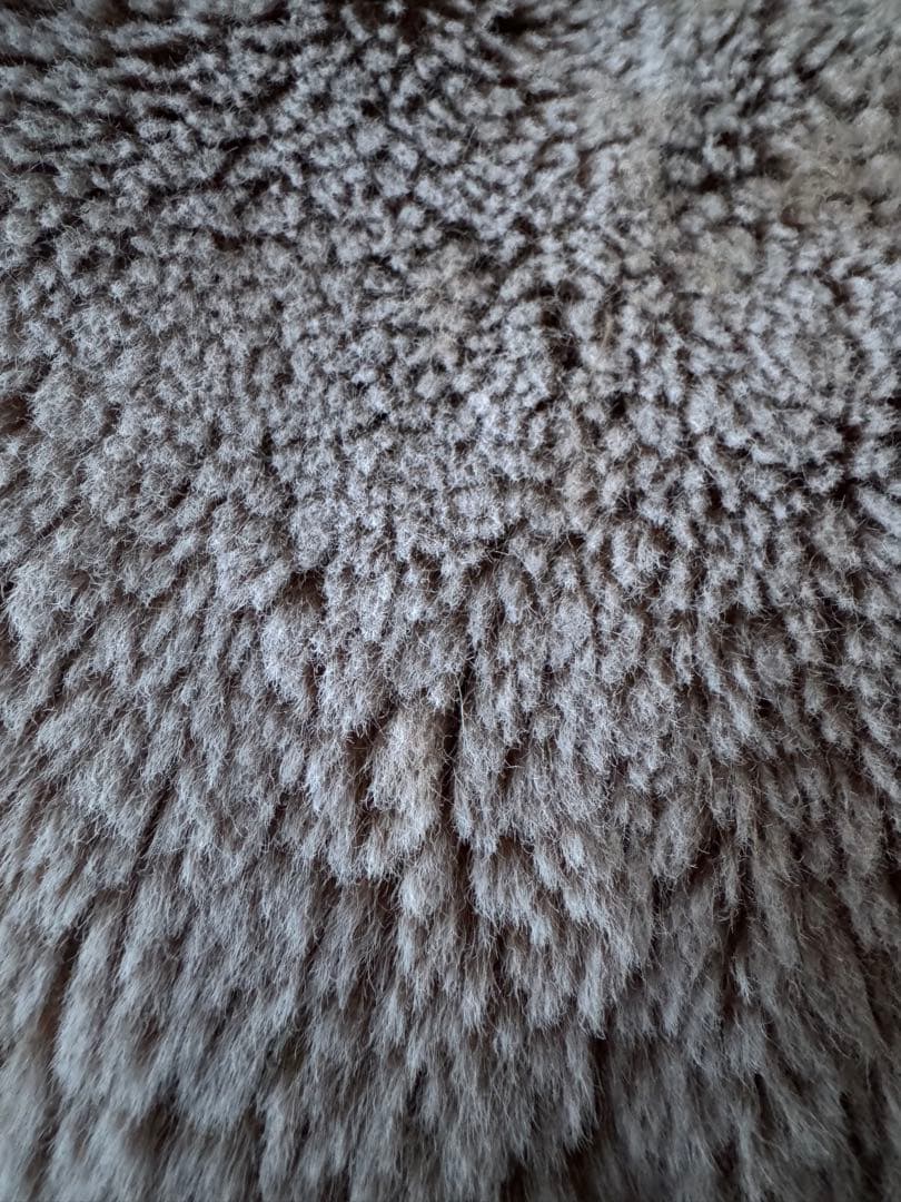 アンビエントラウンジ　ペットラウンジ