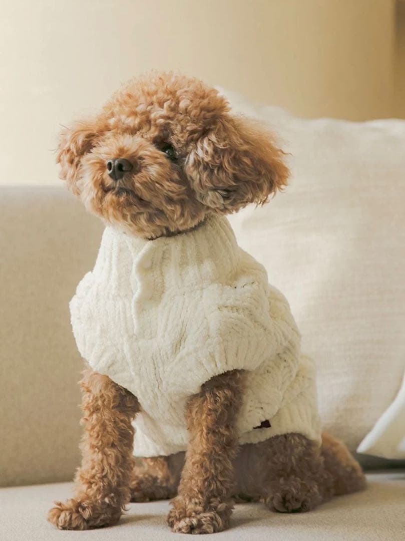 ジェラートピケ 【Valentine】ハートアランハイネックプルオーバー