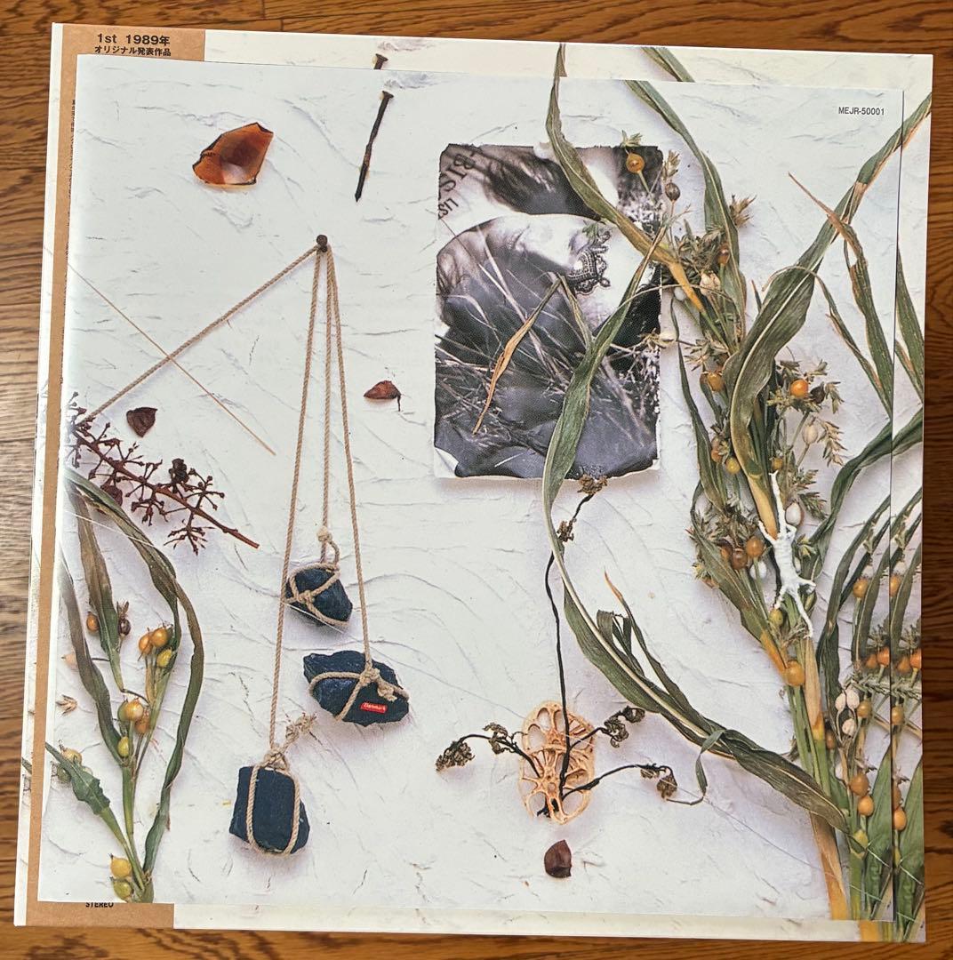 新品！「夏のぬけがら」真島昌利