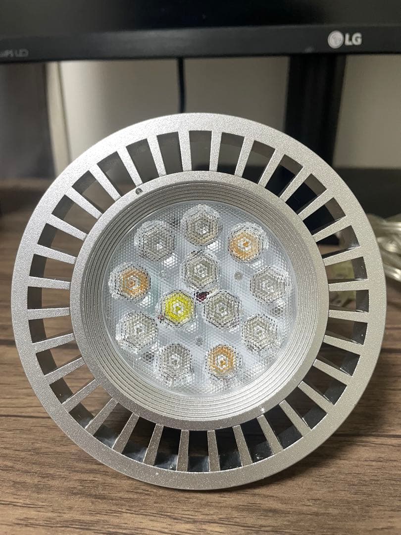 Grassy LeDio RX122C ボルクスジャパン クリップ付き