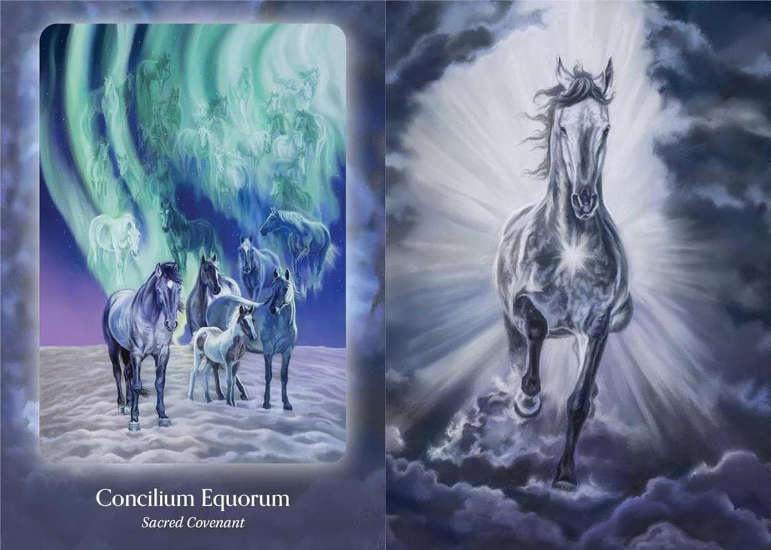 87 juno★オラクルカード