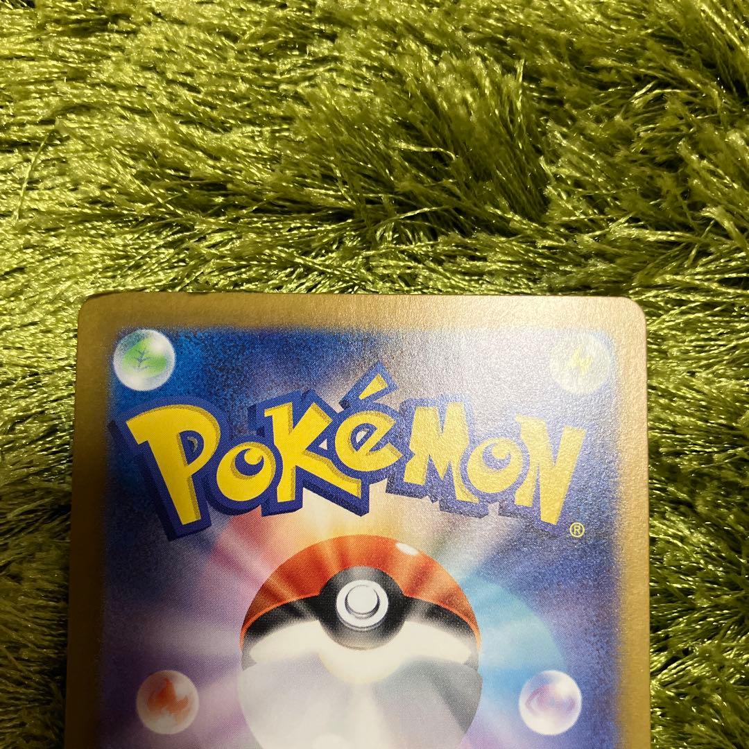 サザレsar、シキミsr、メロコsr