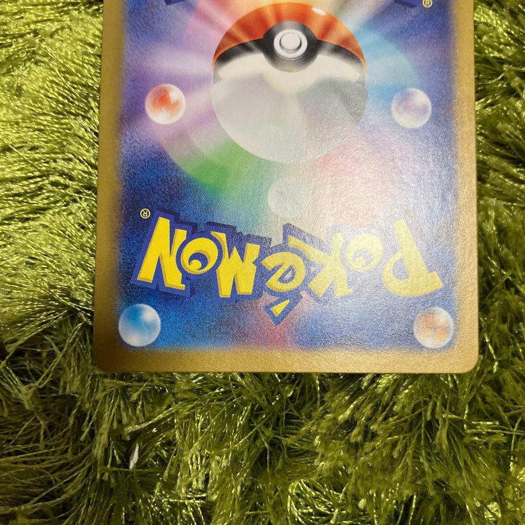 サザレsar、シキミsr、メロコsr