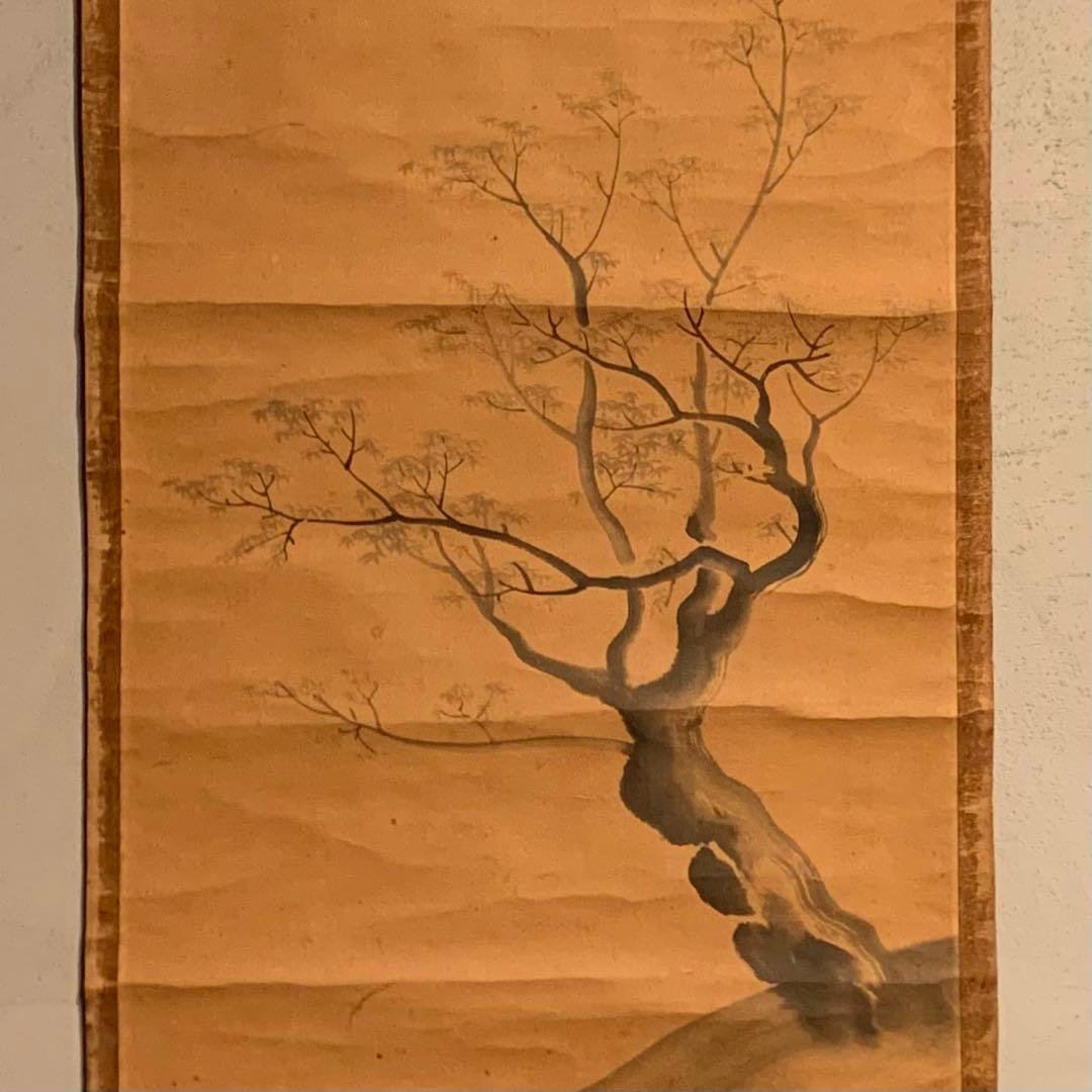 森寛斎 掛軸 古美術 茶道具 古道具 アンティーク