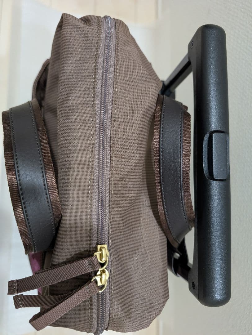 美品✨️SWANYアウトフレーム キャリーカート　4輪ストッパー