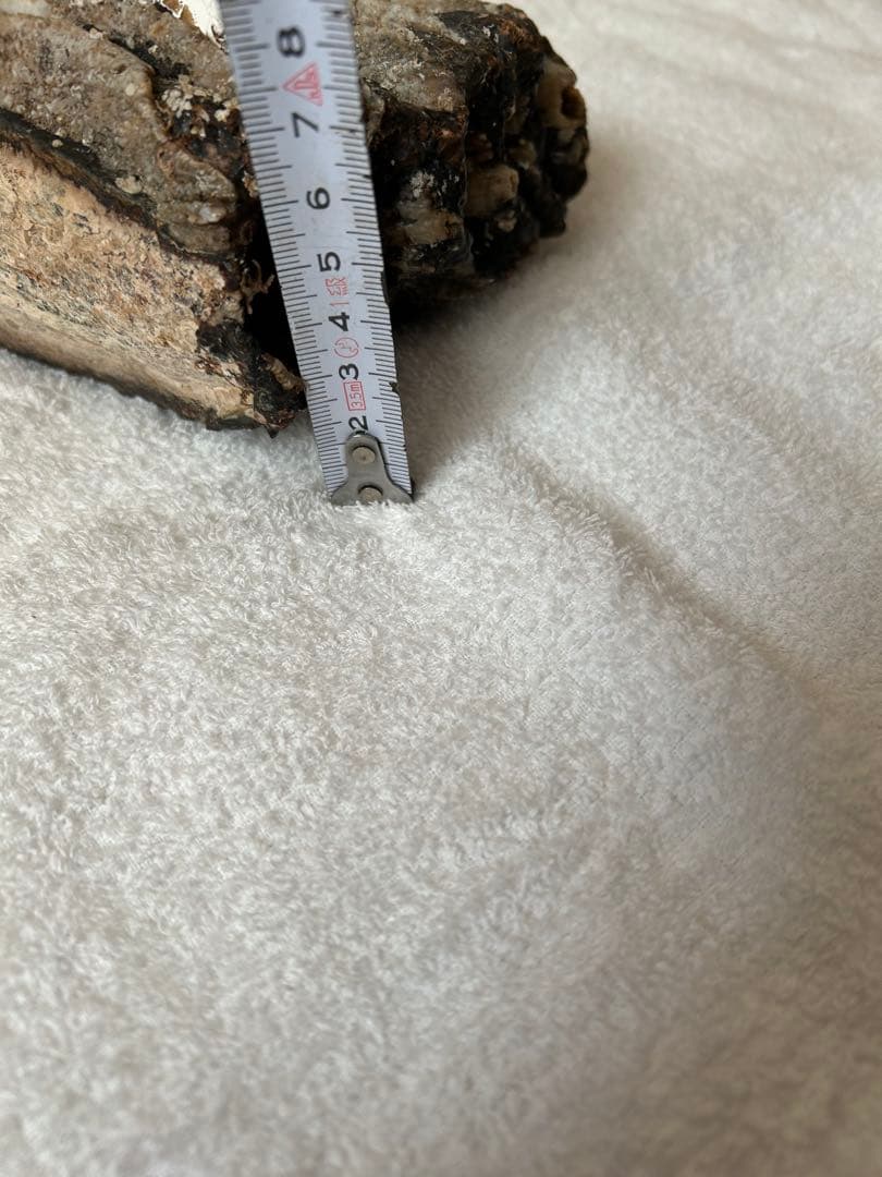 マンモス　ナウマンゾウ　化石　臼歯