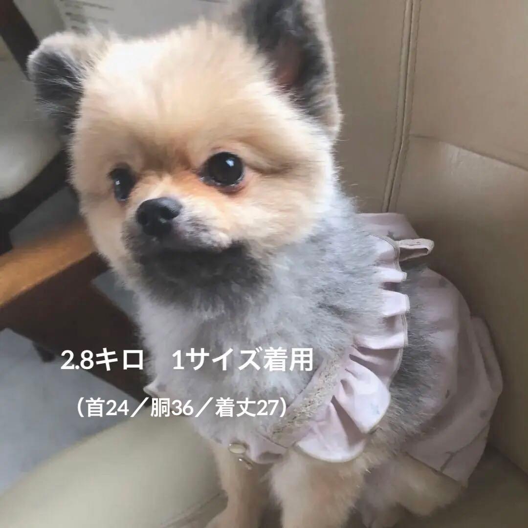 ハンドメイド　エプロンワンピース　オーダー小型犬