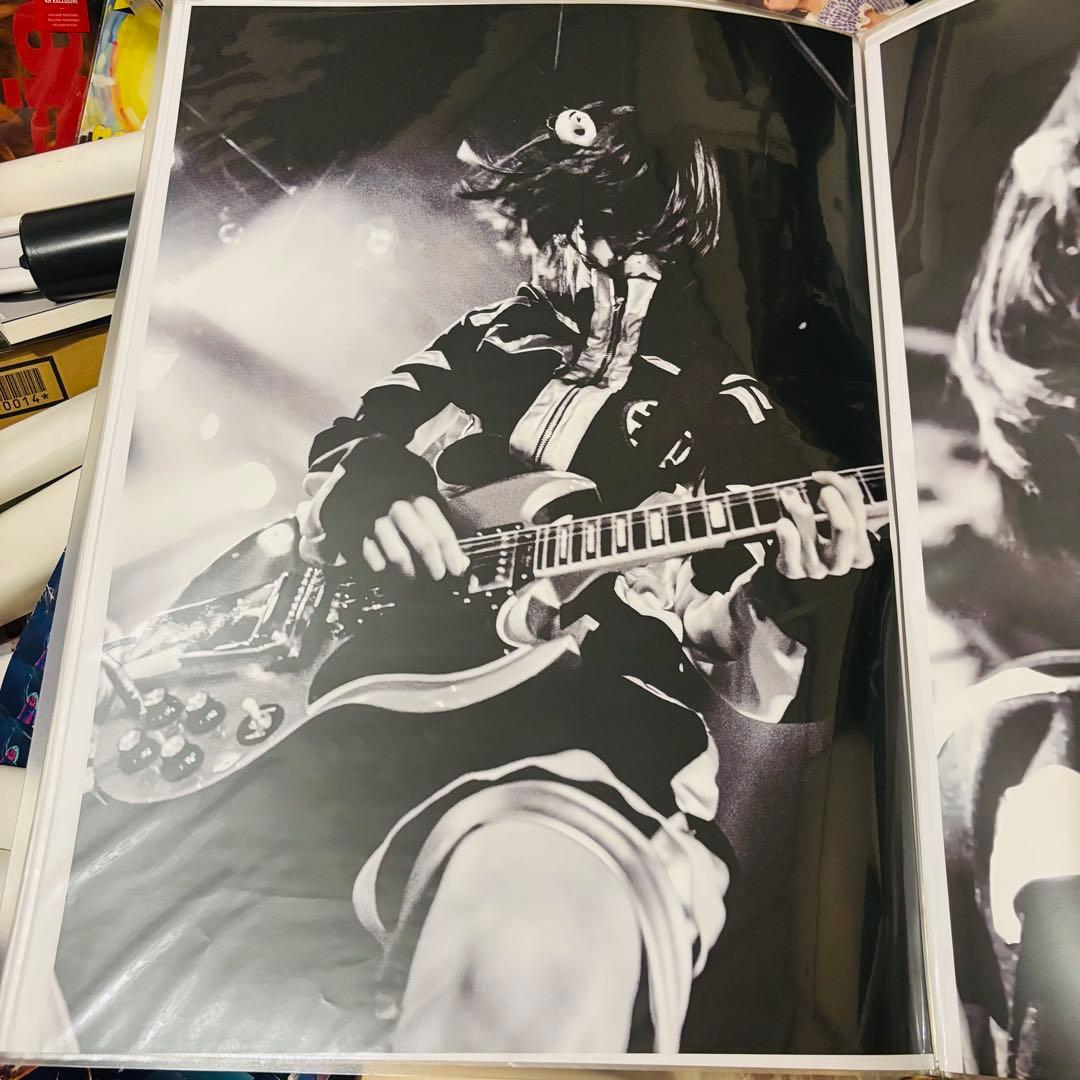 ano あのちゃん　ポスター B2 ゆるめるモ！時代