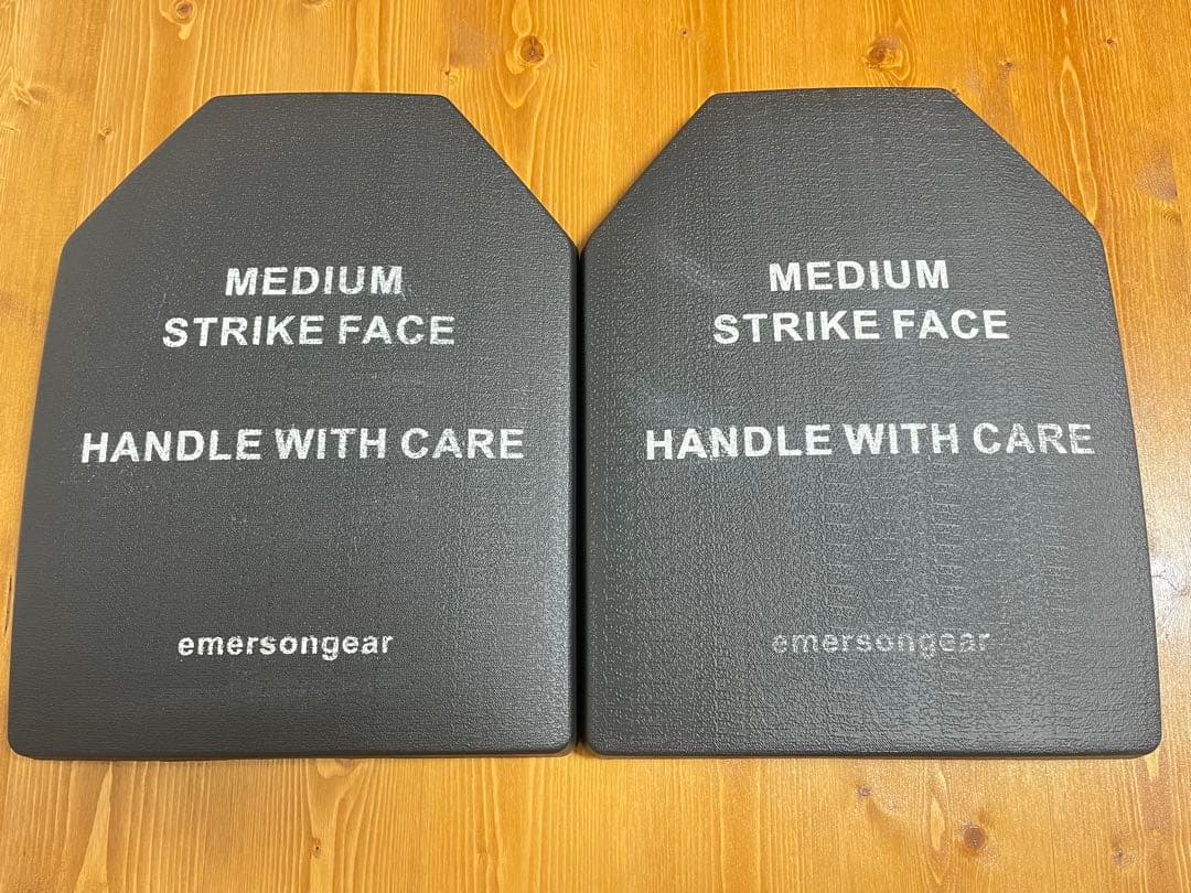 BINTER DEFENCE プレートキャリア ボディアーマー LE装備