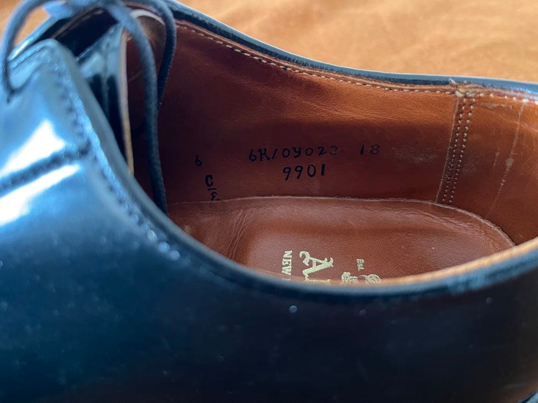 Alden 9901 コードバン6E
