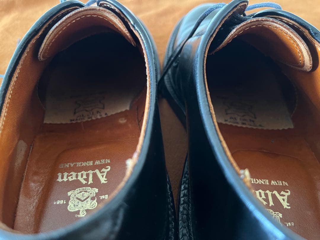 Alden 9901 コードバン6E