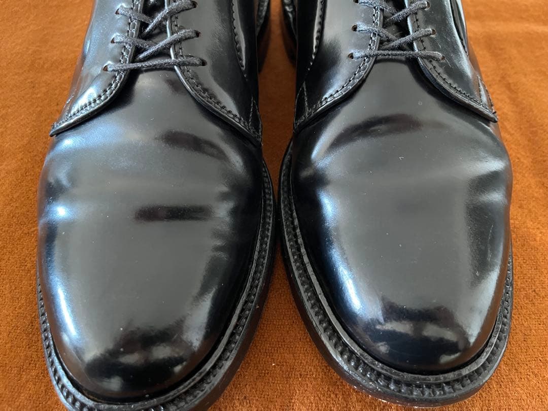 Alden 9901 コードバン6E