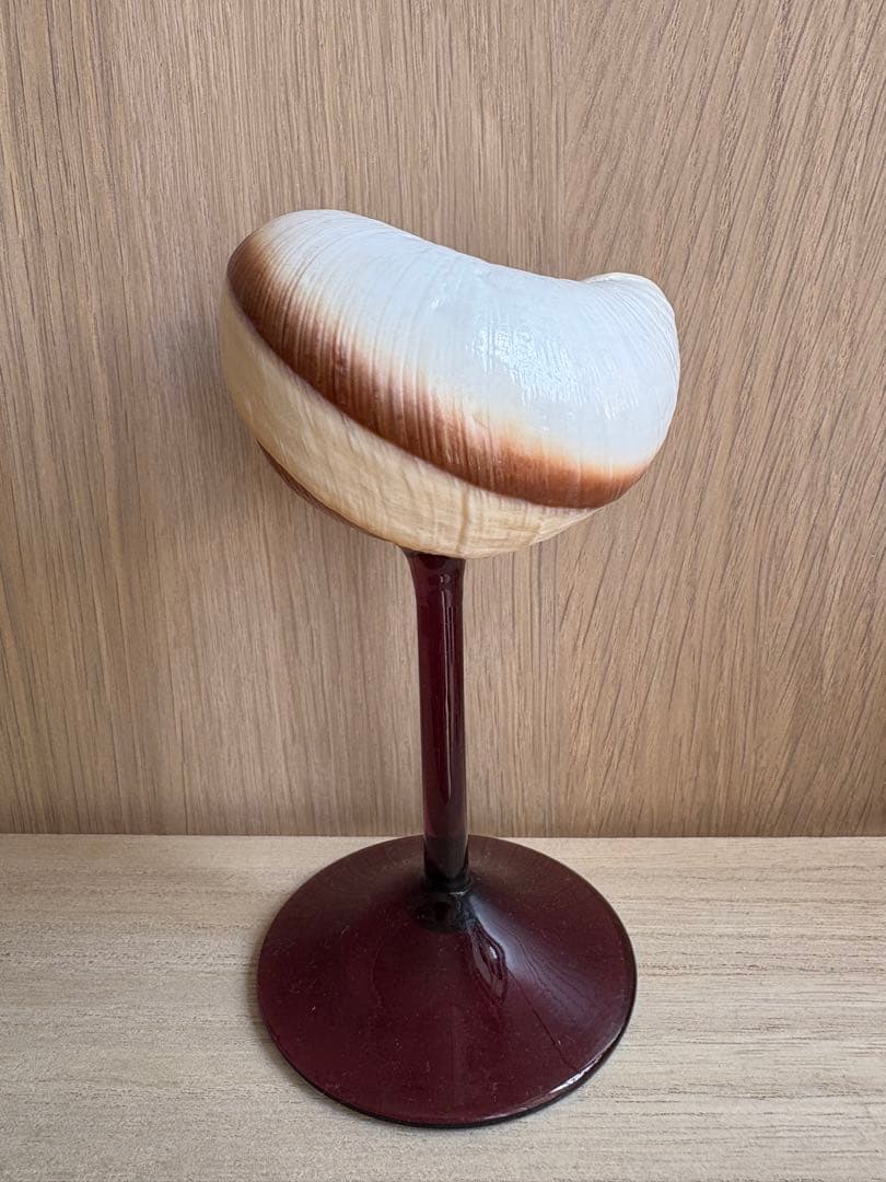 シェルグラス インテリア アクセサリースタンド