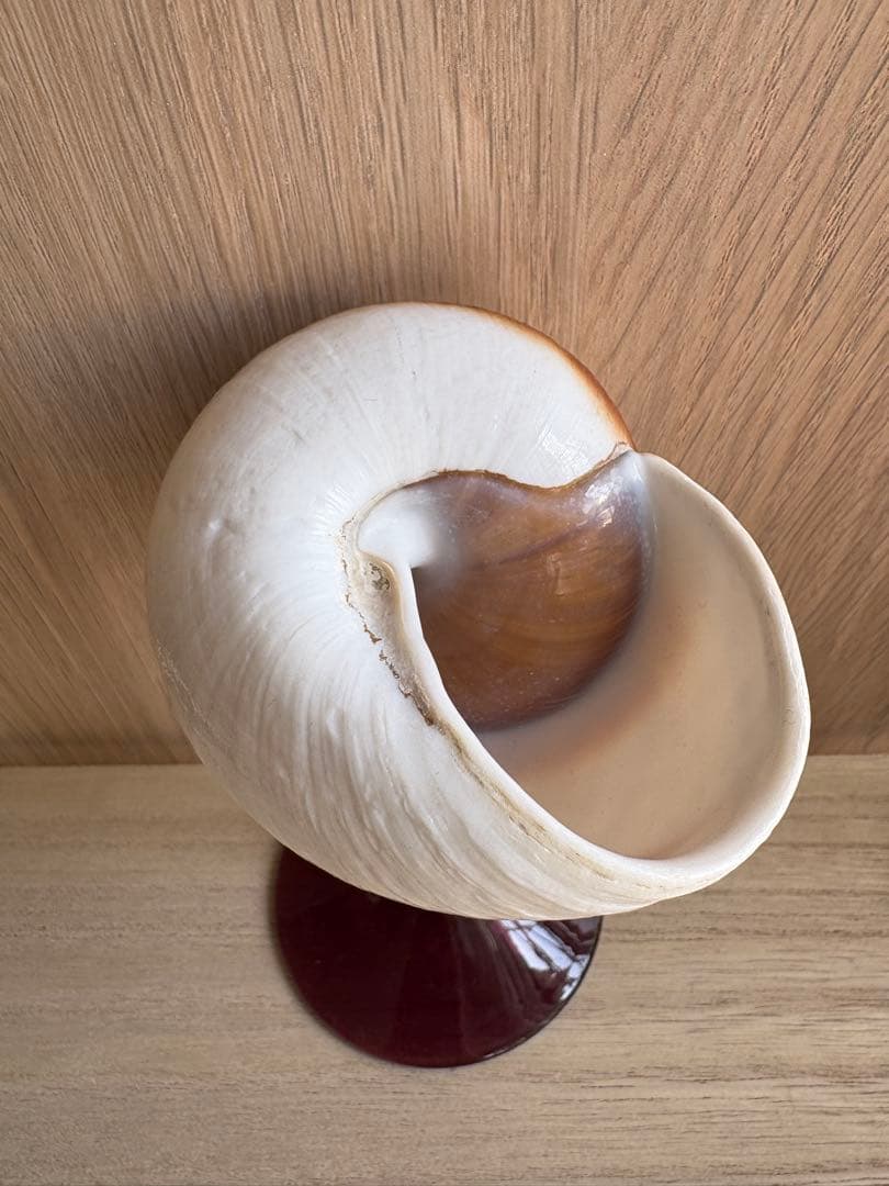 シェルグラス インテリア アクセサリースタンド