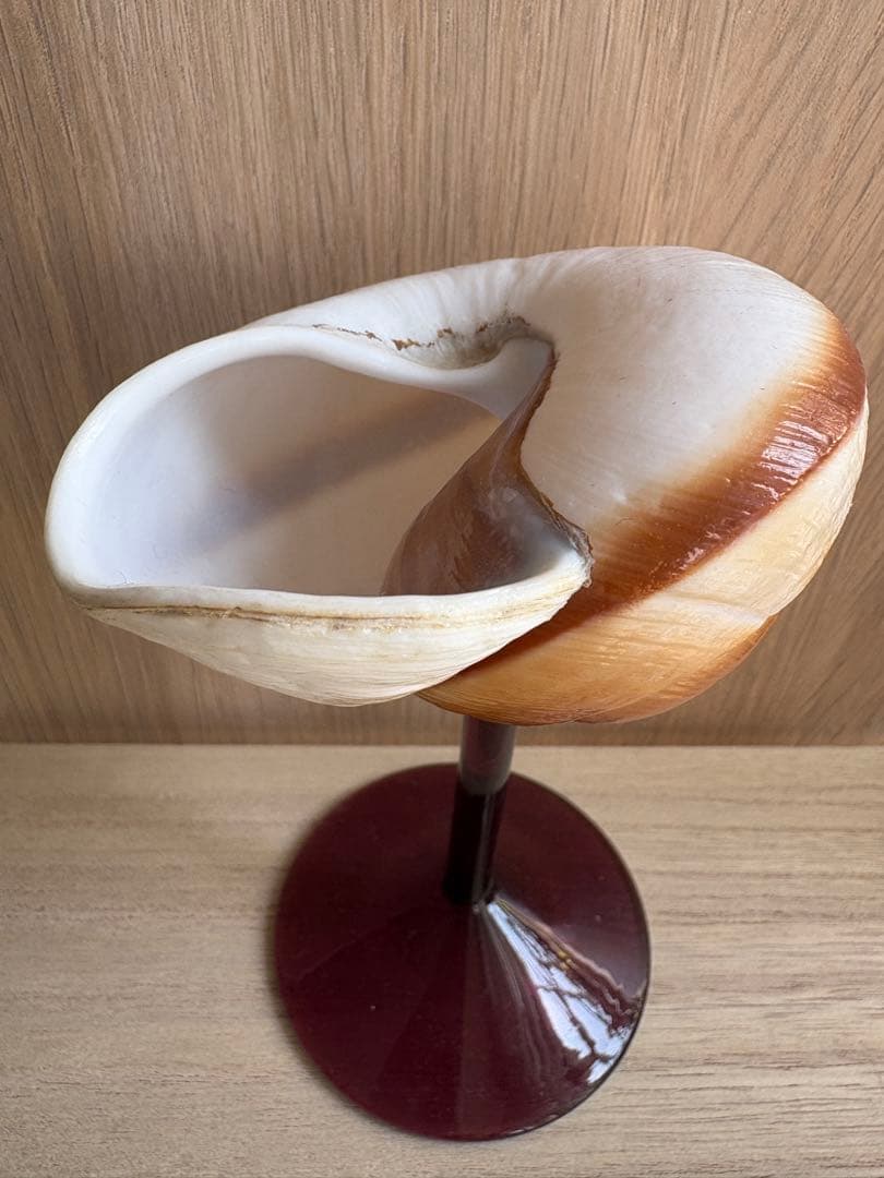 シェルグラス インテリア アクセサリースタンド