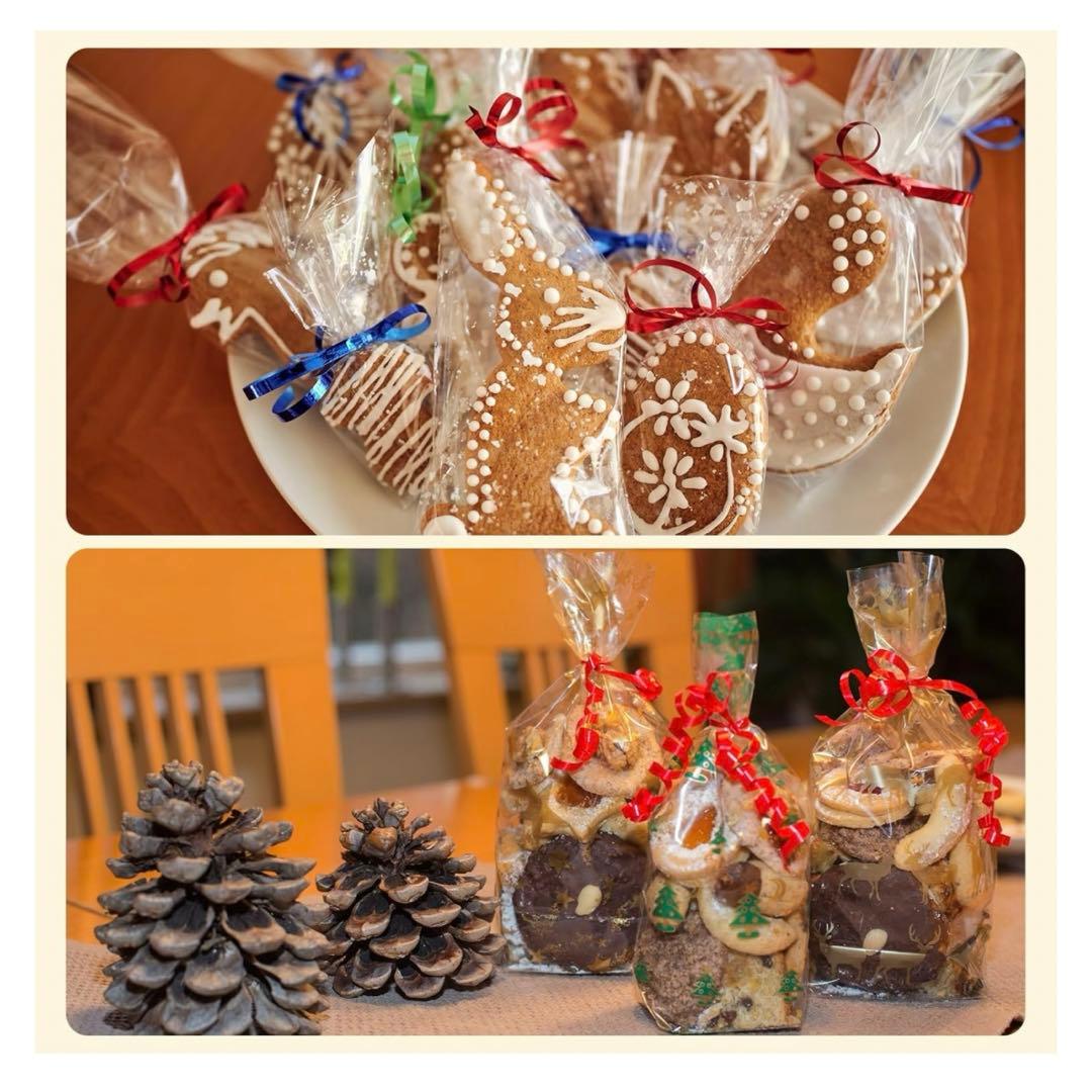 ラッピングタイ プレゼント バレンタイン ハロウィン モール 梱包 未使用