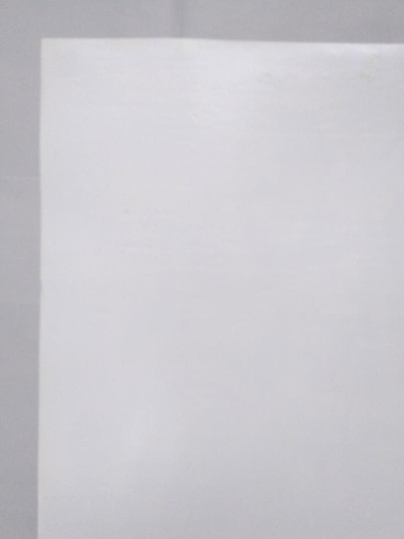 ファイナルファンタジー9 非売品ポスター（B2サイズ）貴重