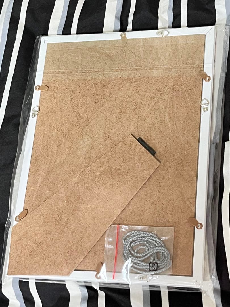 フカヒレ先生サイン入りミニアートグラフ